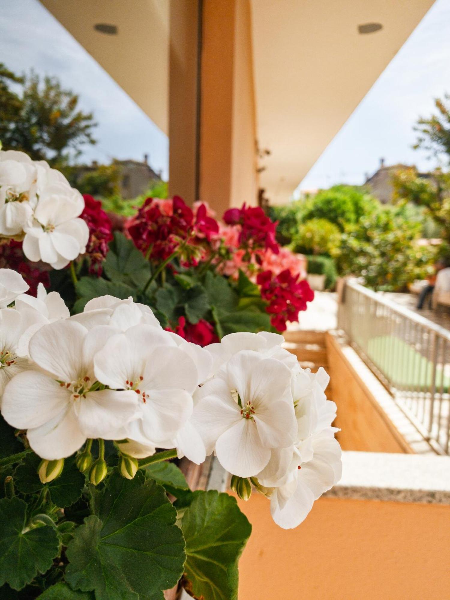 Hotel Donatella Posada  Exterior photo